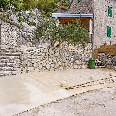 Villa Lazini Dvori Stasevica エクステリア 写真