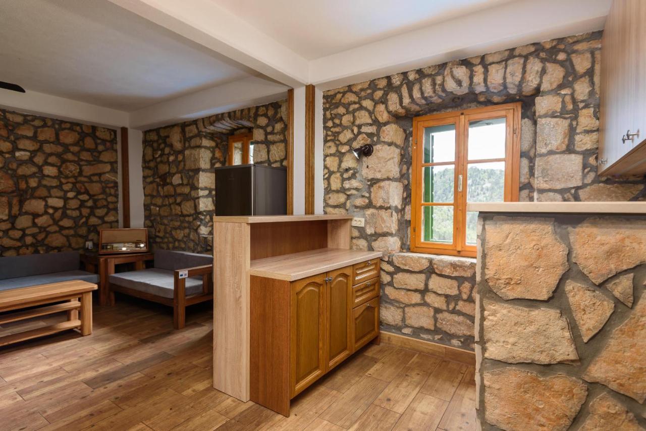Villa Lazini Dvori Stasevica エクステリア 写真